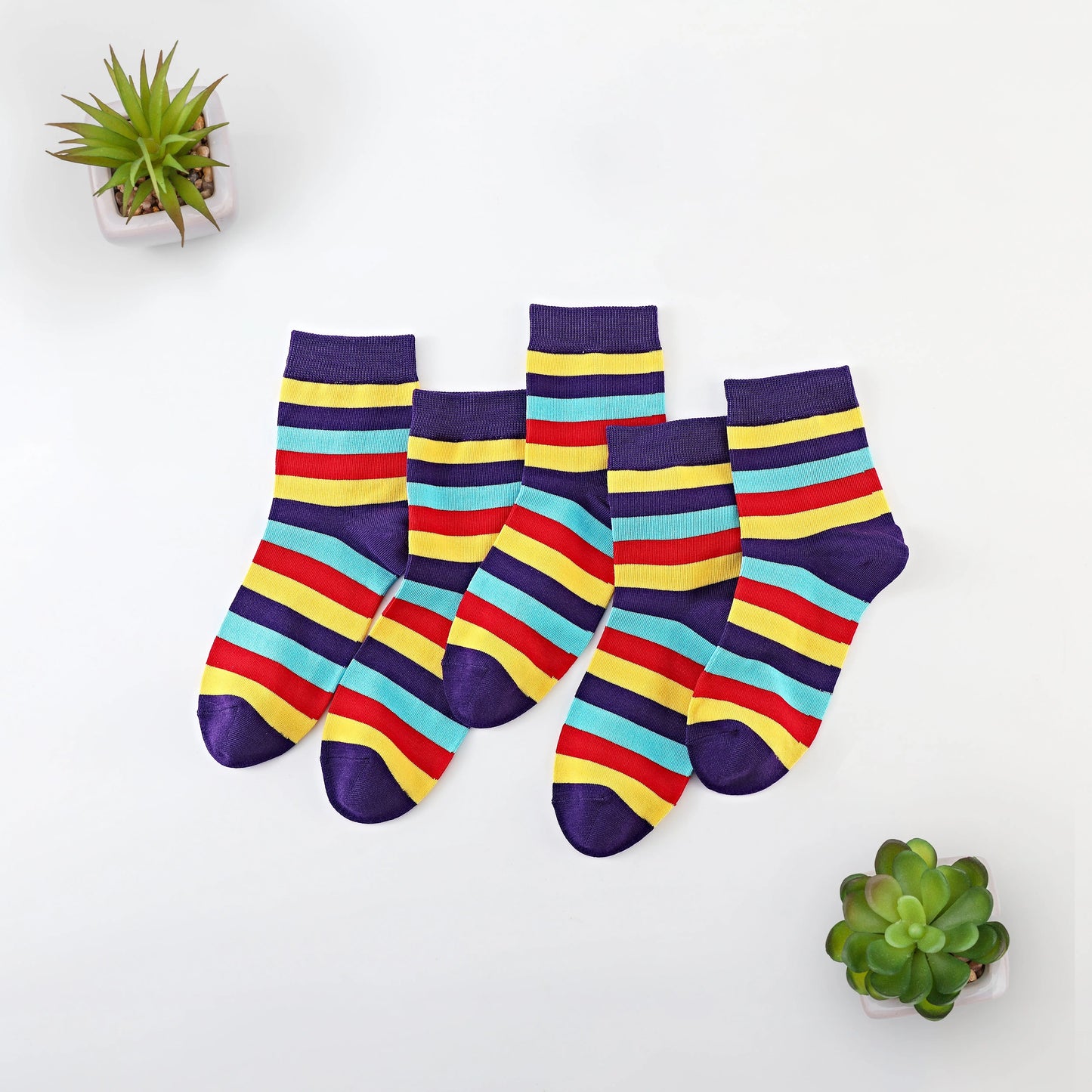 Violet Parade Glarly