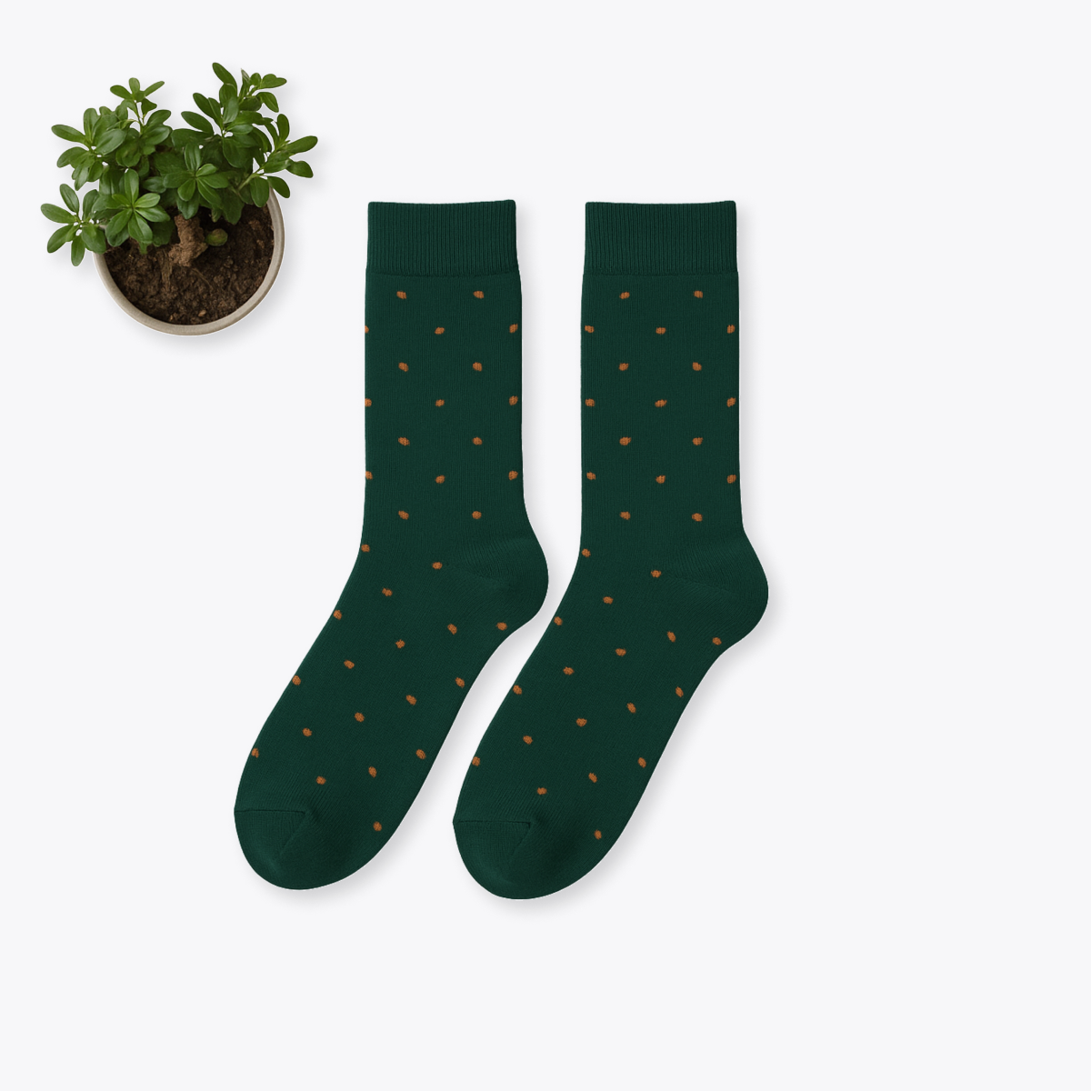 Olive Dots